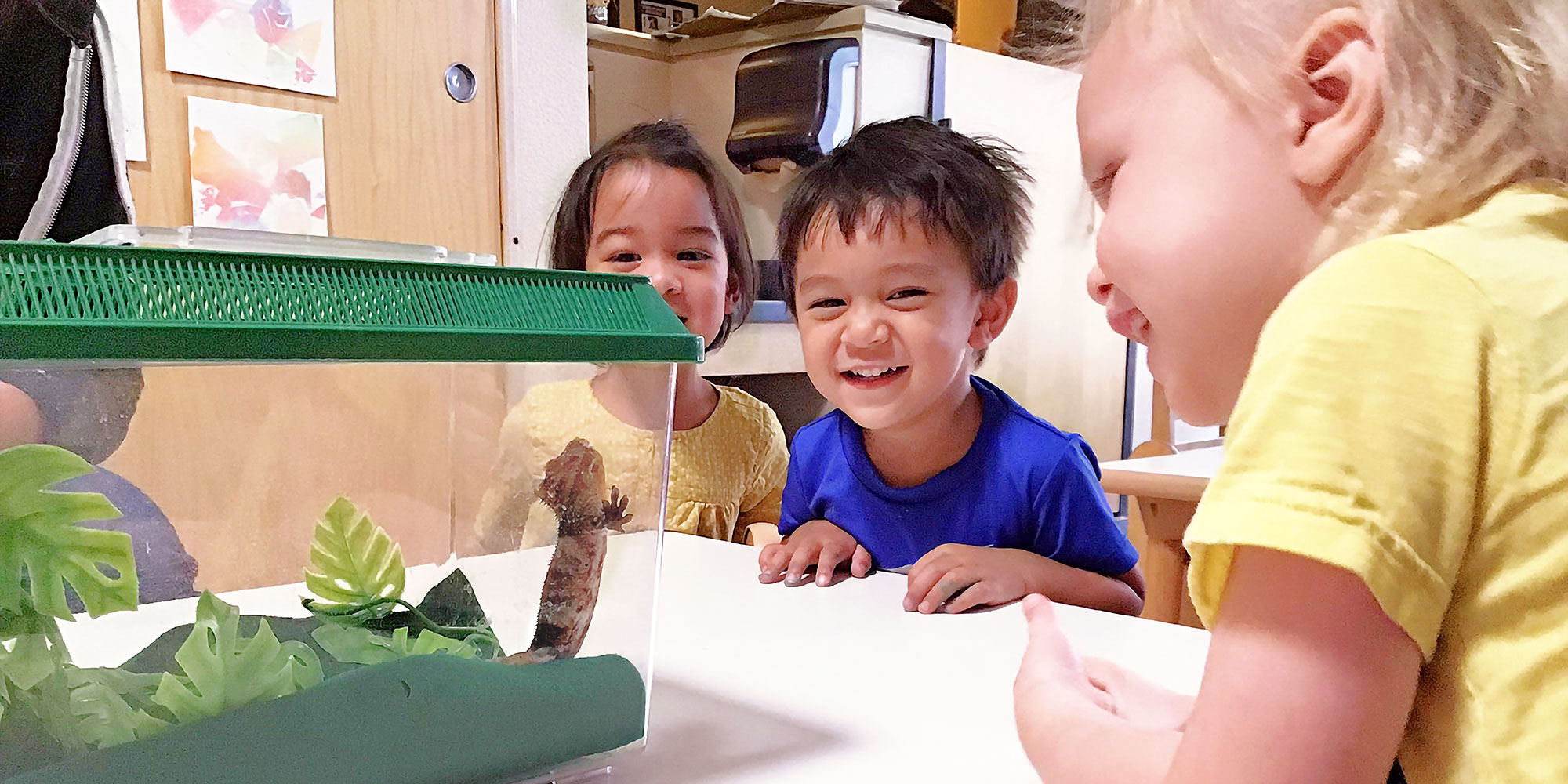 Three smiling kids looking at a lizard